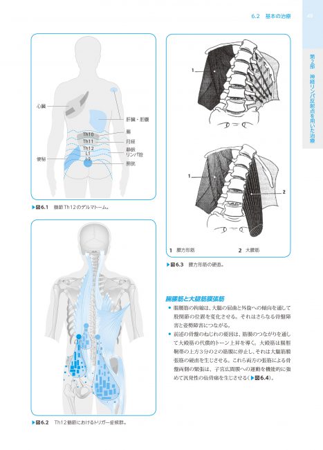 ハンドブック チャップマン反射-