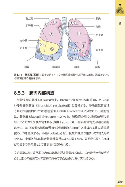図解 解剖学概説 ヒトの発生過程から解明する/医歯薬出版株式会社